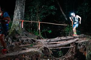 BIB: 
                            <button type="button" onclick="openModal(27383003)" class="btn btn-primary btn-sm float-right btn-popup" data-toggle="modal" data-target=".modal-high-quality">
                        <i class="fas fa-shopping-cart"></i> Add to Cart
                    </button>
                                            <button type="button" onclick="isThisMe(27383003, true)" class="btn btn-success btn-sm float-right btn-popup btn-isme hidden" data-toggle="tooltip" data-placement="bottom" title="นี่คือรูปของคุณใช่ไหม คลิกที่นี่เพื่อเอาเข้าอัลบั้ม">
                        <i class="fas fa-plus"></i> Add to album
                    </button>
                    <button type="button" onclick="isThisMe(27383003, false)" class="btn btn-warning btn-sm float-right btn-popup btn-isnotme hidden">
                        <i class="fas fa-ban"></i> Remove from album
                    </button>